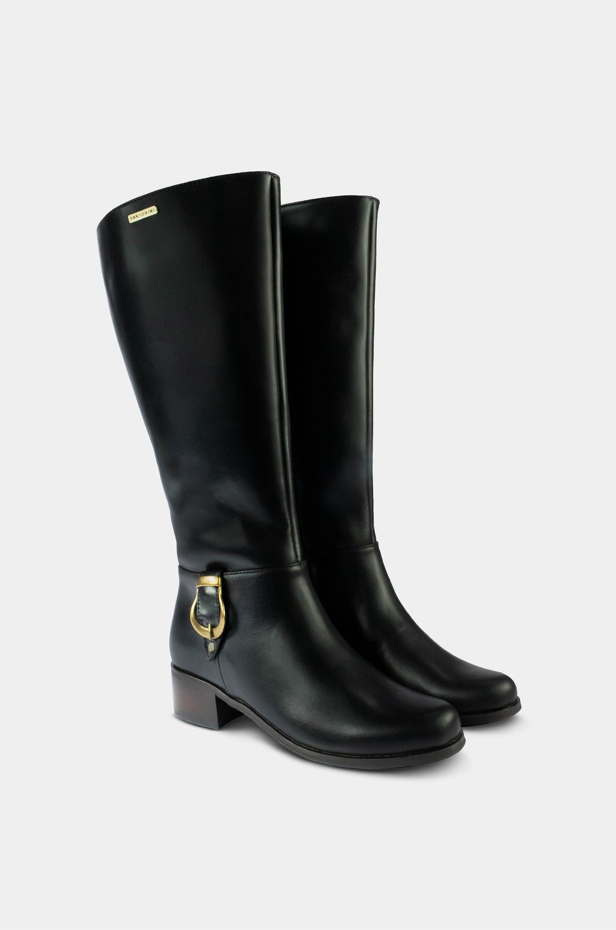 BOTAS PARA MUJER ZAIRA CUERO NEGRO SANTORINI - vista 2
